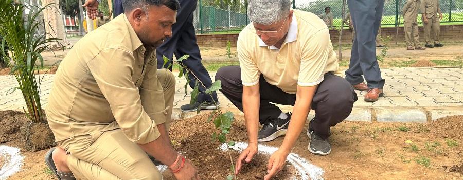 Van Mahotsav PEC 2025