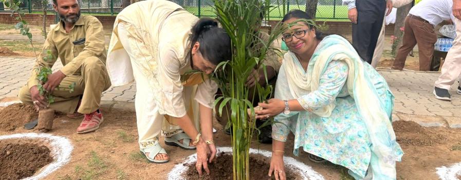 Van Mahotsav PEC 2025