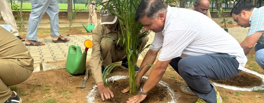 Van Mahotsav PEC 2025