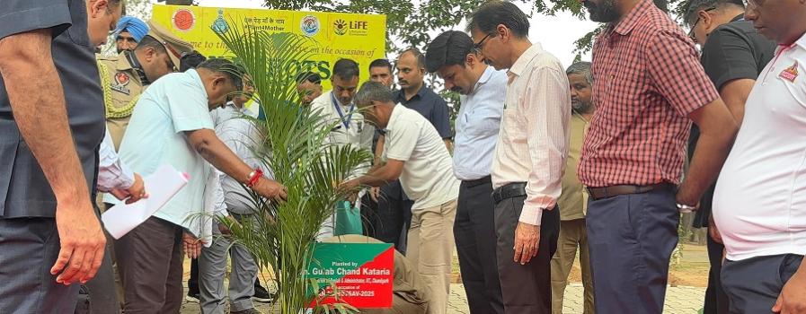 Van Mahotsav PEC 2025