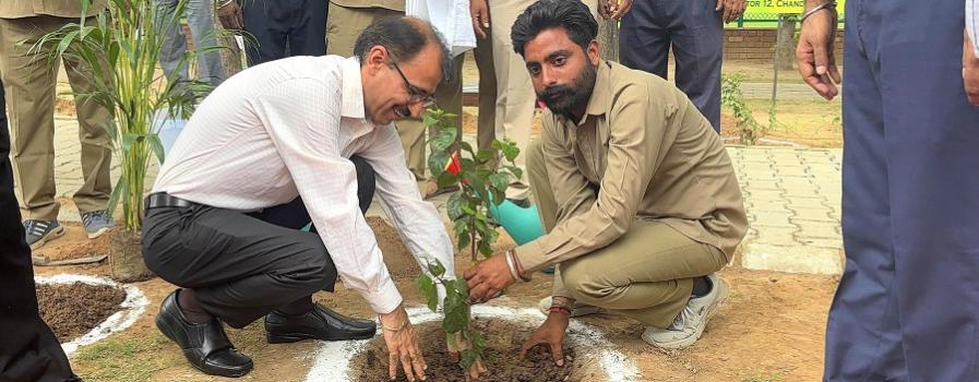 Van Mahotsav PEC 2025