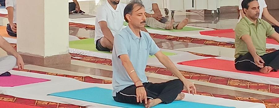 Yoga Day PEC 2026
