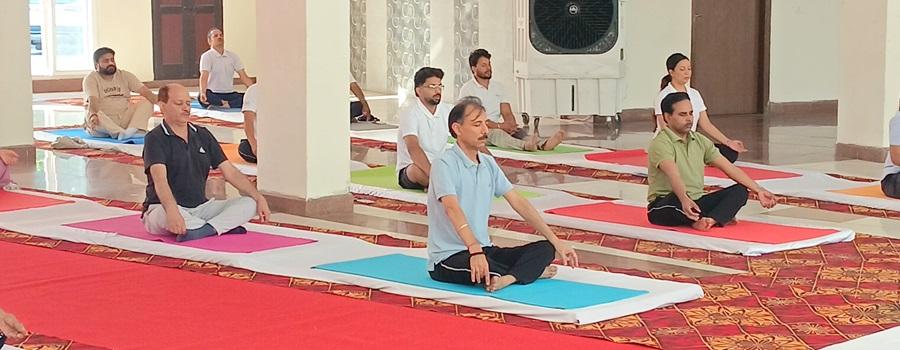 Yoga Day PEC 2026