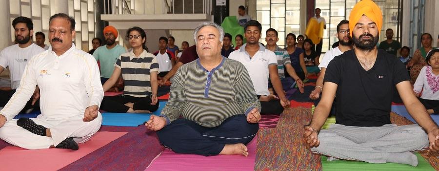 4th-International-Yoga-Day-Celebrated-image-index-2